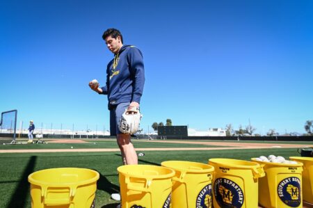 Milwaukee Brewers, Christian Yelich