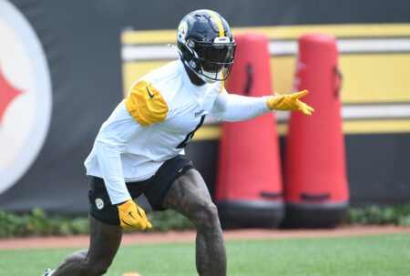 DK Metcalf, Pittsburgh Steelers