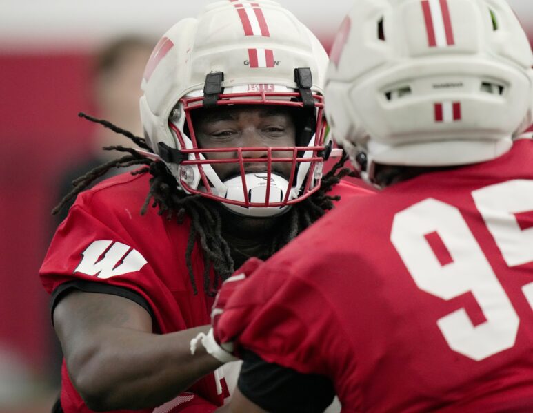 Wisconsin Badgers