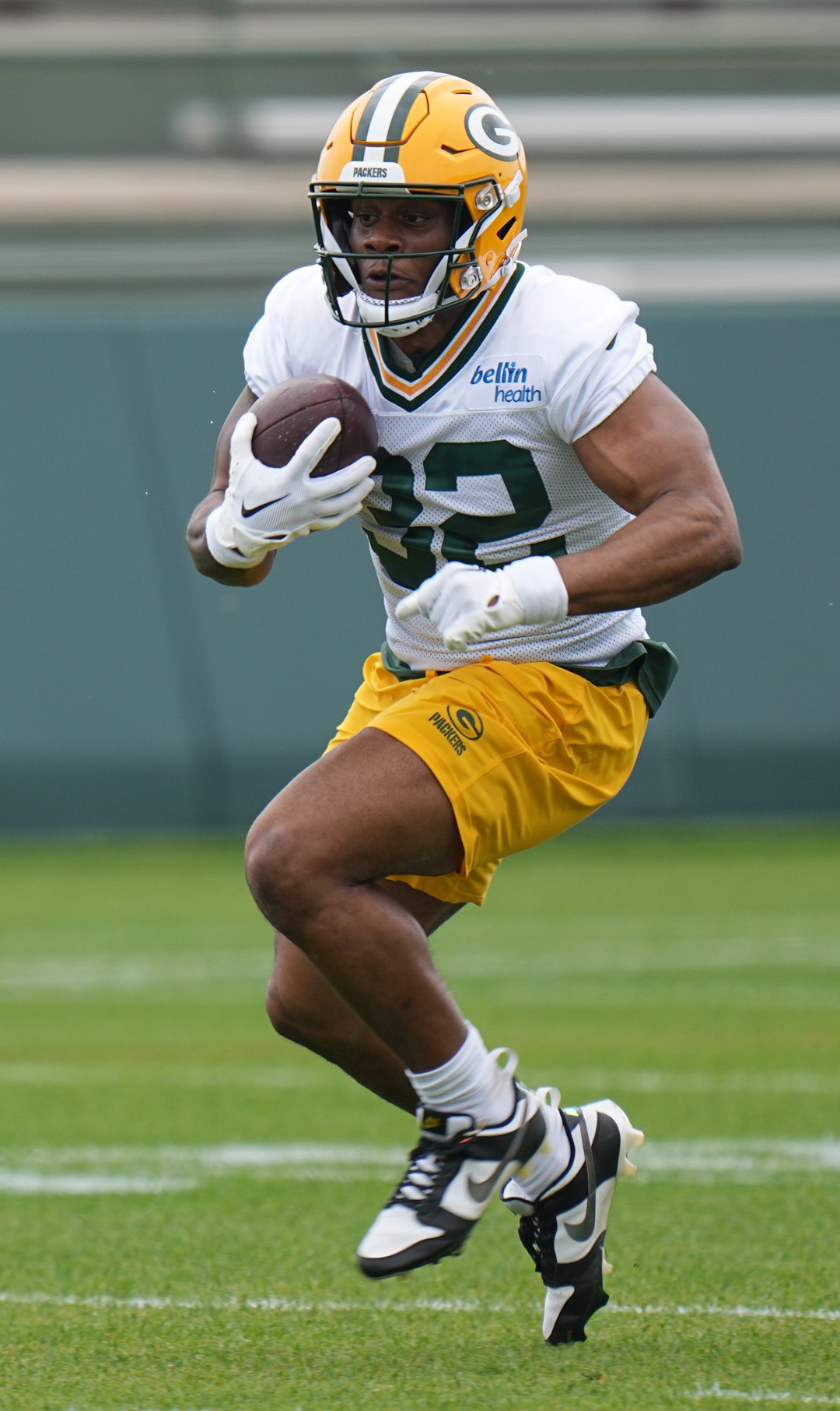 Green Bay Packers, Marshawn Lloyd