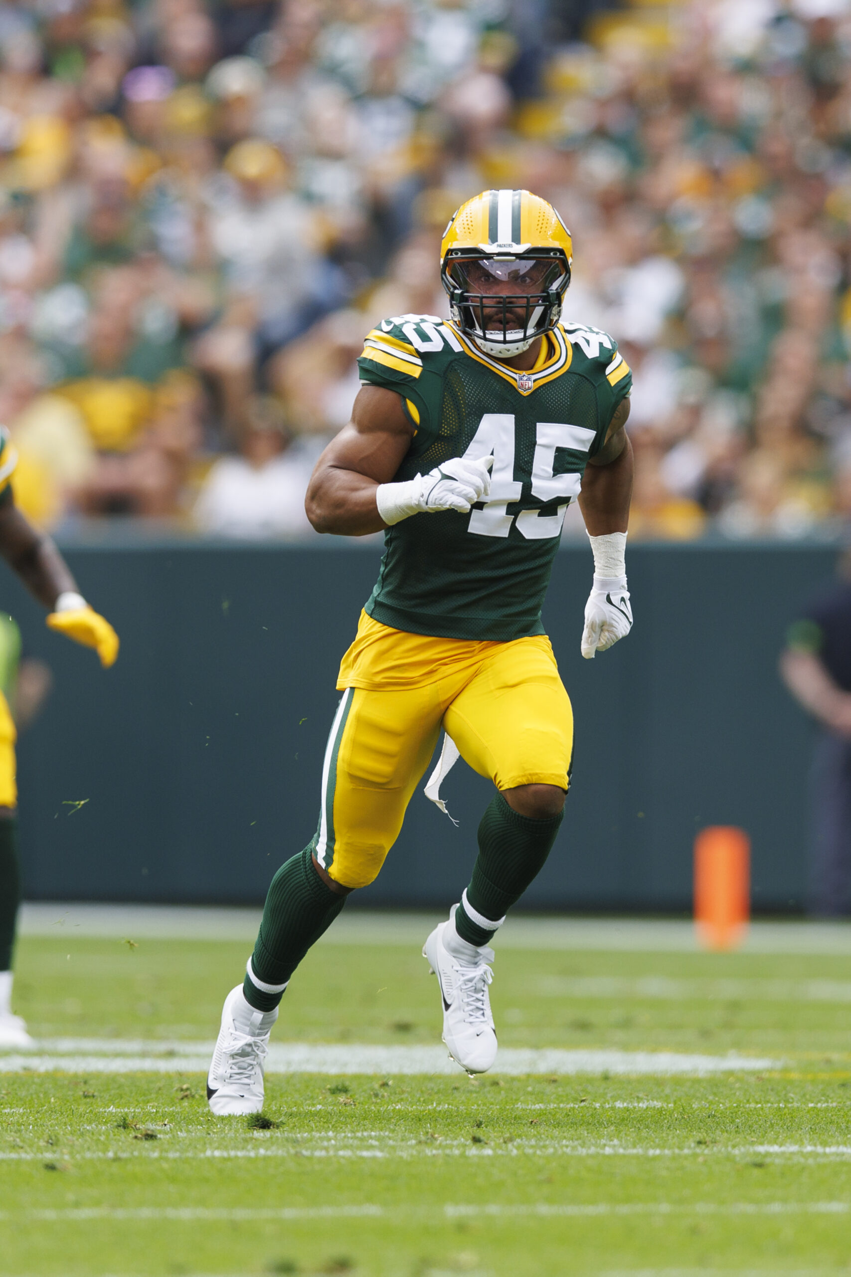 Green Bay Packers, Eric Wilson