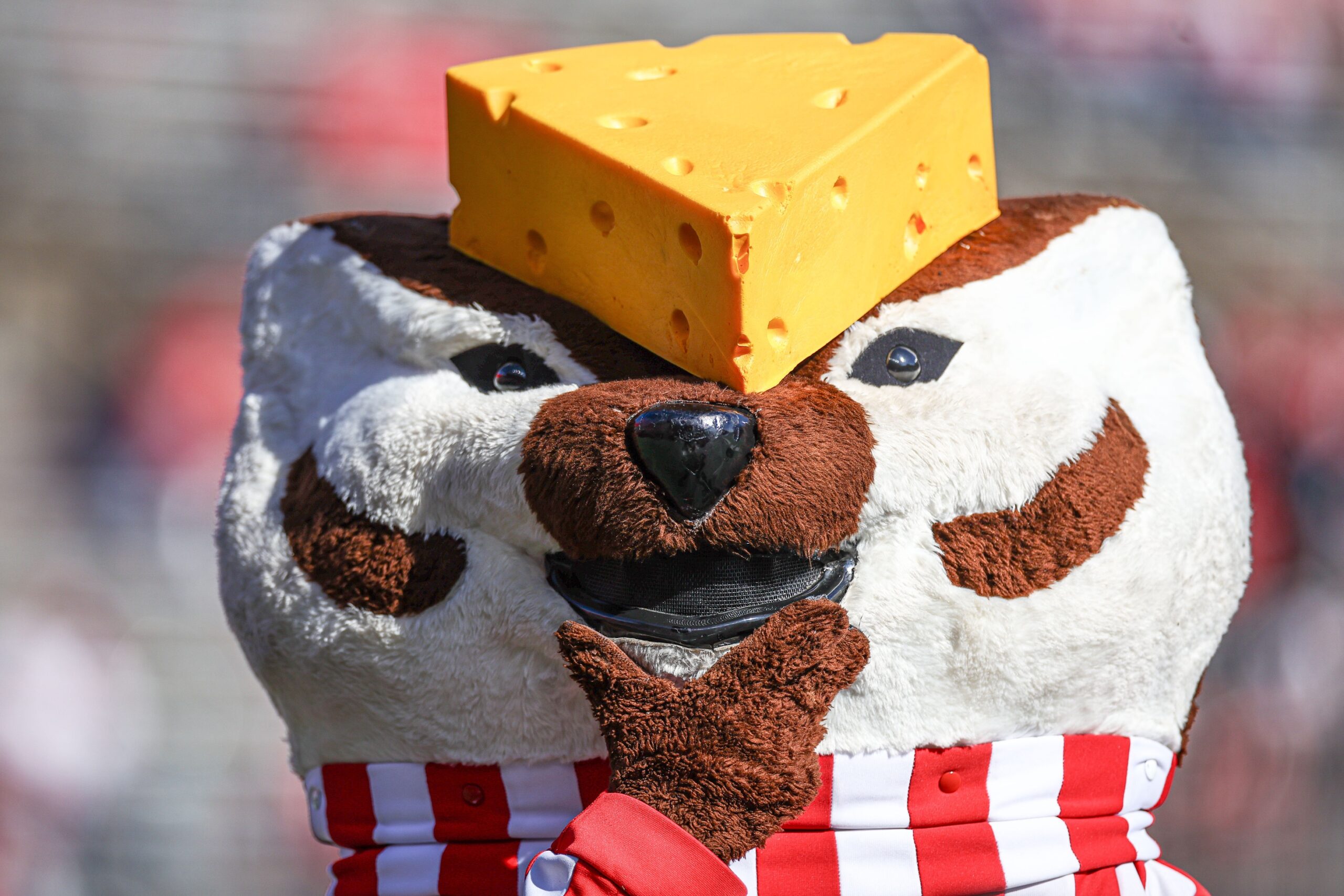 Wisconsin Football, Bucky Badger