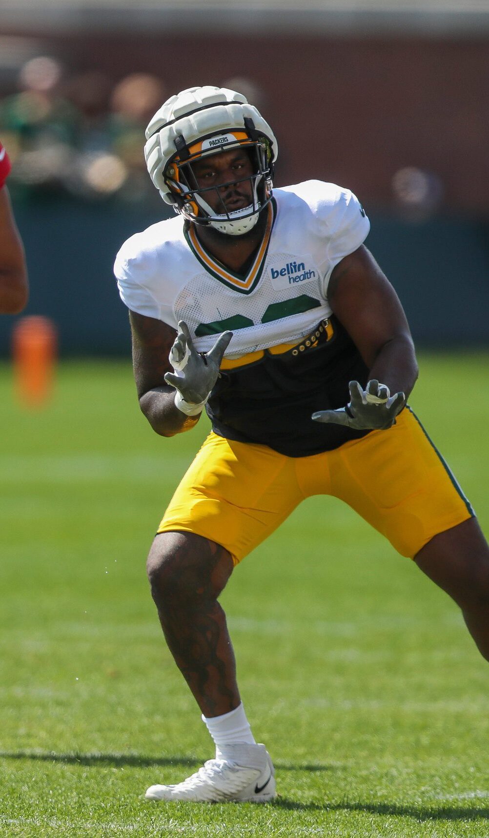 Green Bay Packers, Rasheed Walker