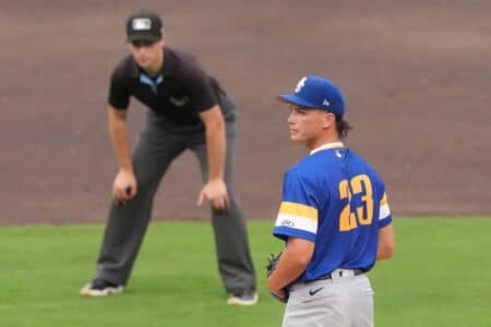 Milwaukee Brewers, Brewers News, Brett Wichrowski